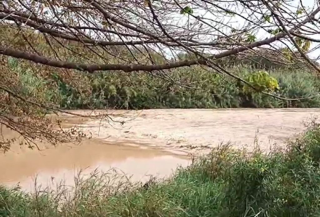 RIO LlOBREGAT EL PRAT