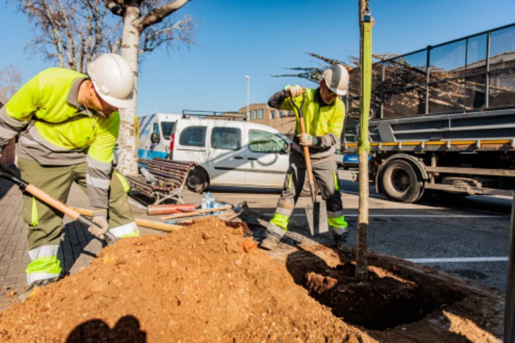 20250204-1115-srl_1023